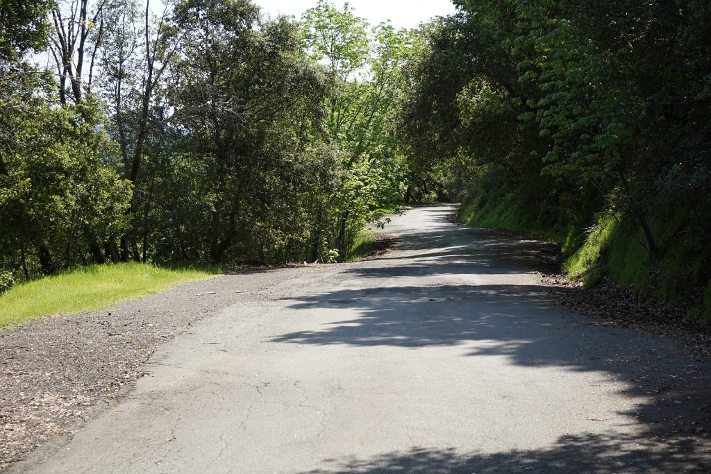 DSC07784