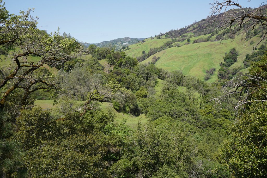 DSC07805