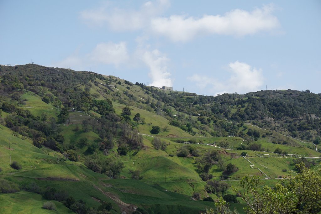DSC07815