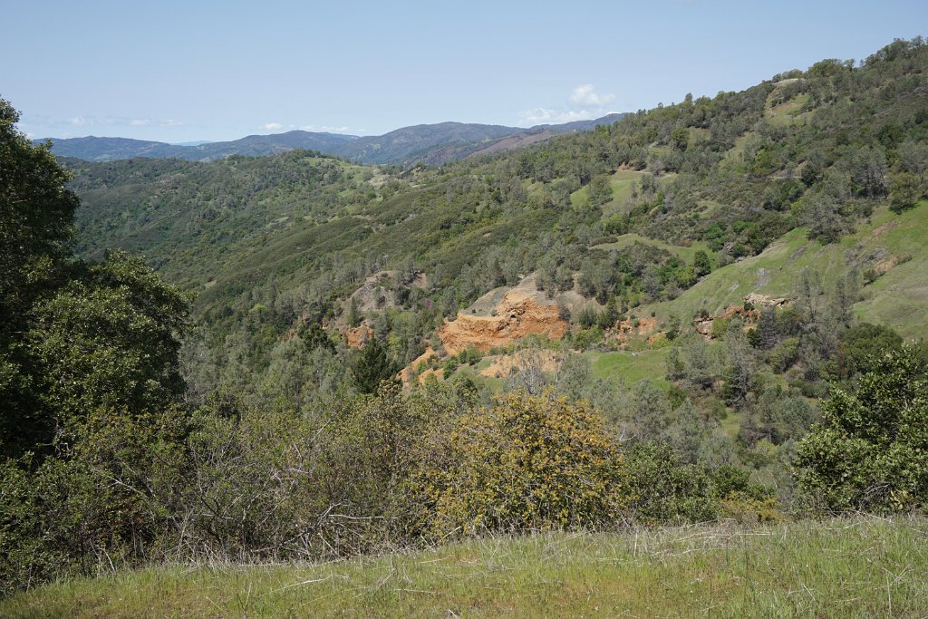 DSC07846
