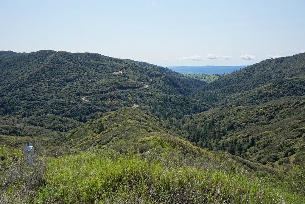DSC07853