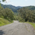 DSC07739