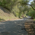 DSC07741