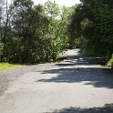 DSC07784