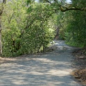 DSC07799