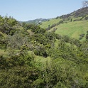 DSC07805
