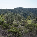 DSC07830