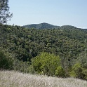 DSC07841