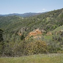 DSC07846