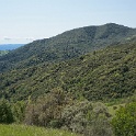 DSC07849