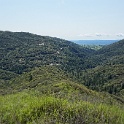DSC07853