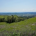 DSC07884