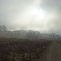 P1000990