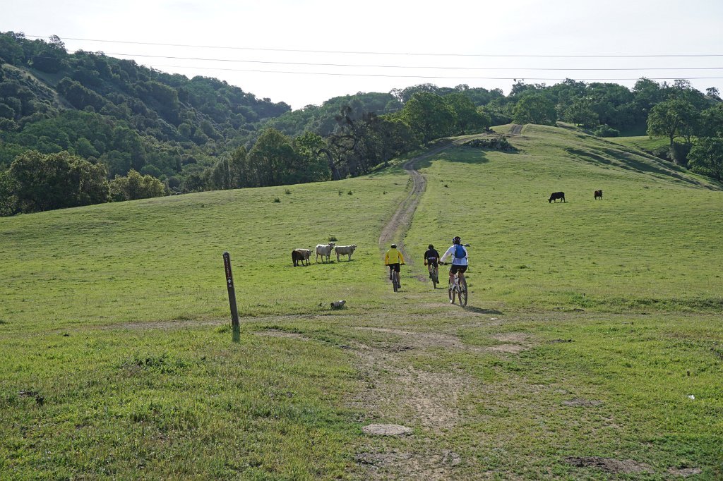DSC01752