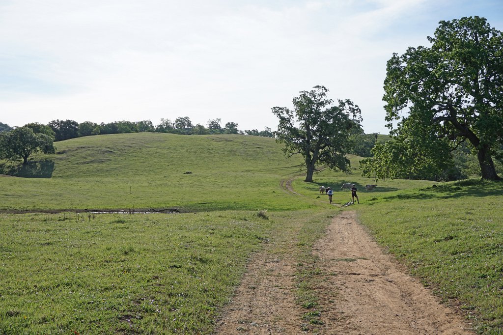 DSC01757