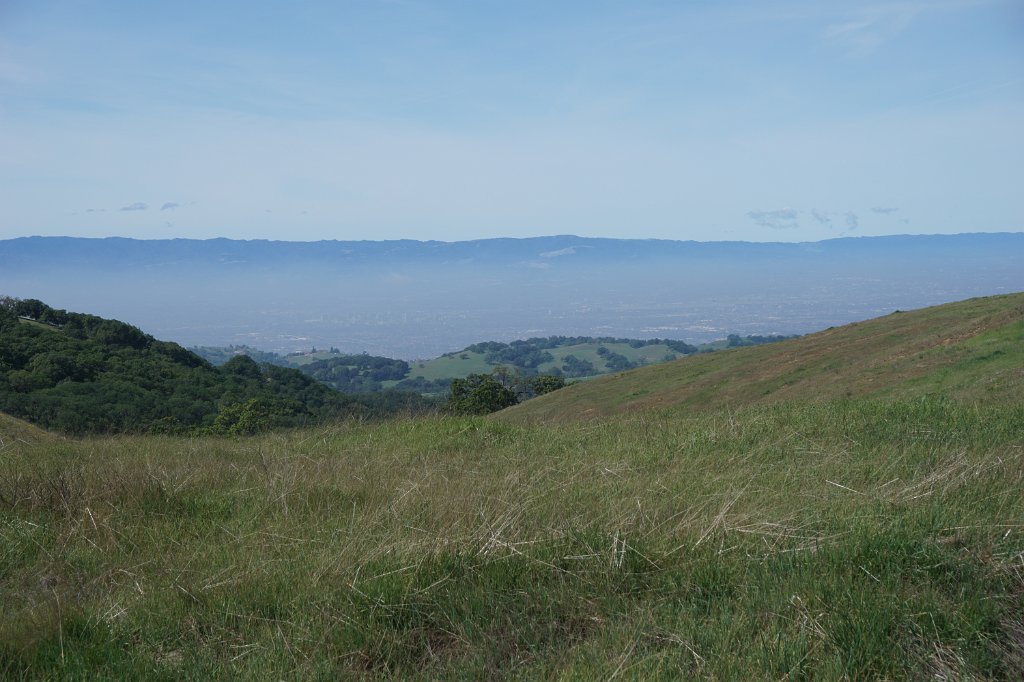 DSC01861