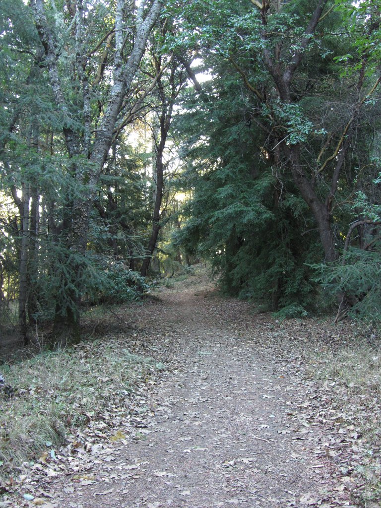 IMG_2788