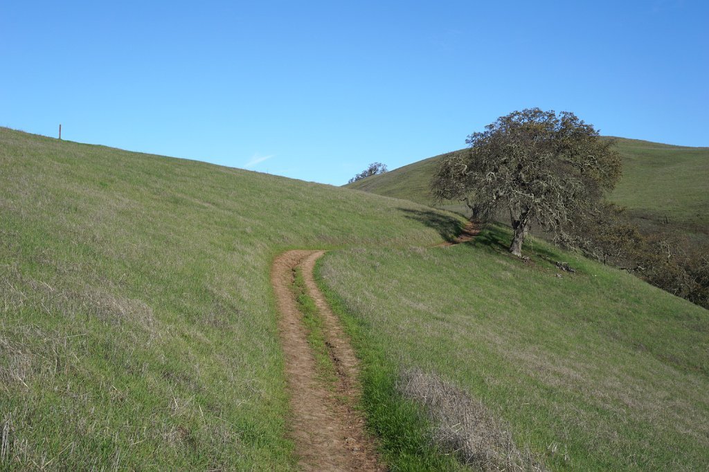 DSC00201