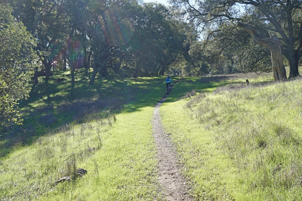 DSC00219