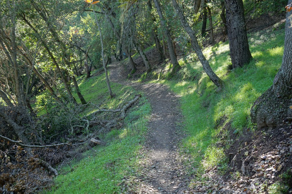 DSC00259