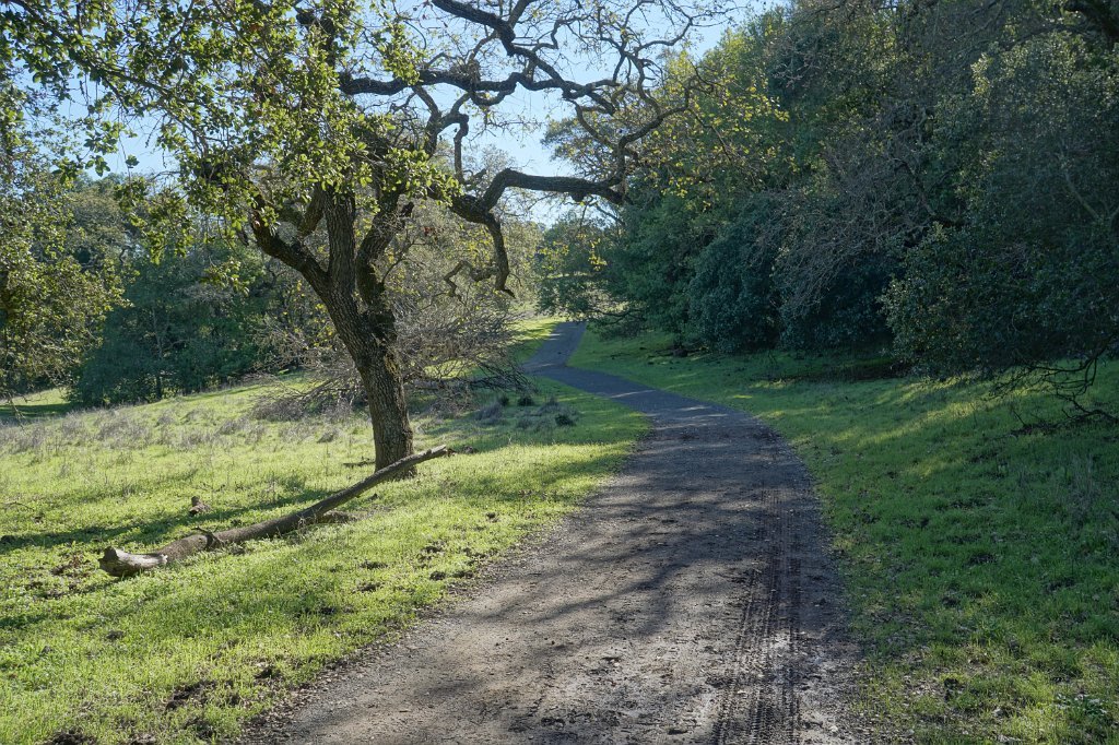 DSC00269