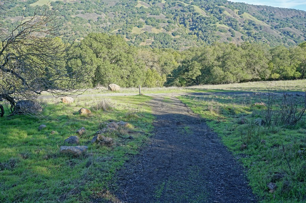 DSC00316