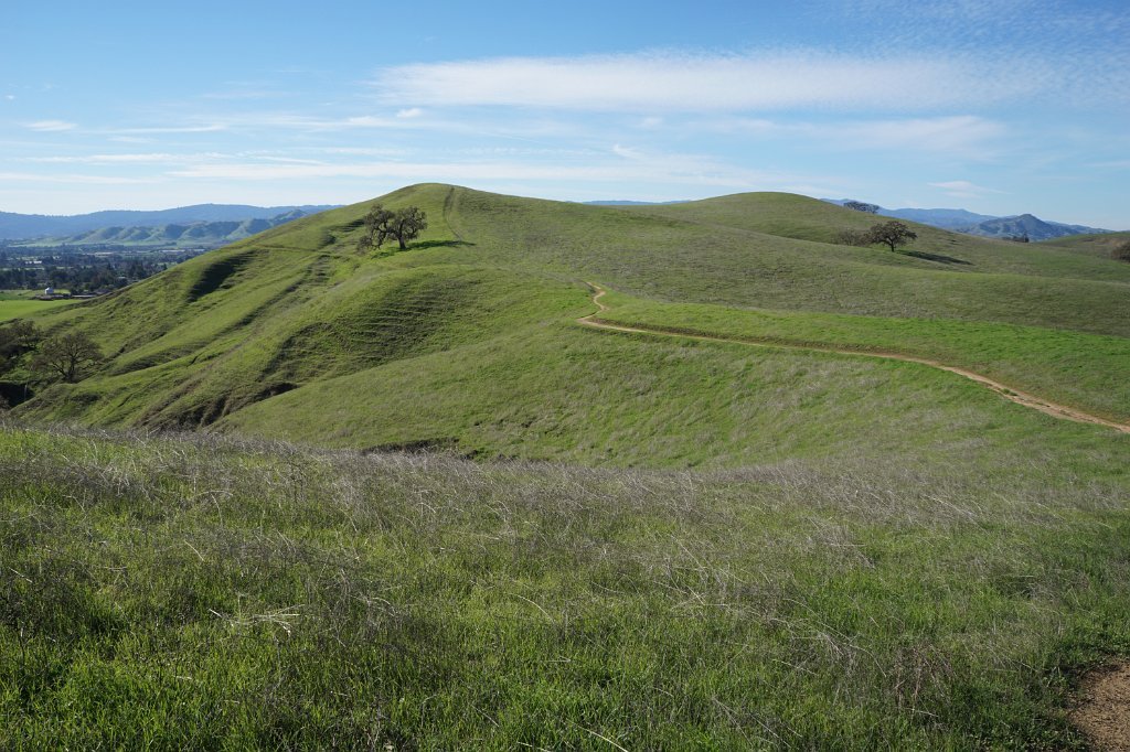 DSC00361