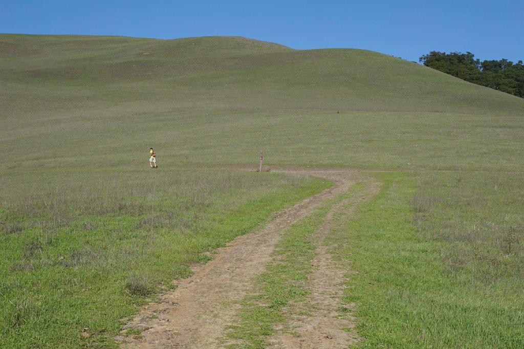 DSC00390