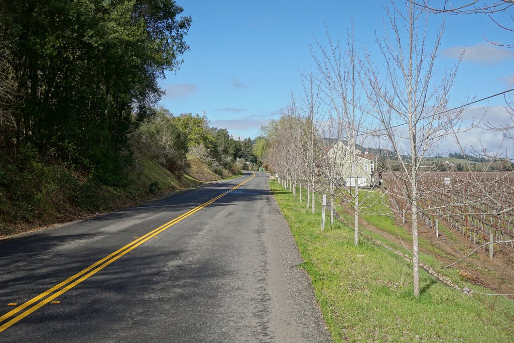 DSC07303