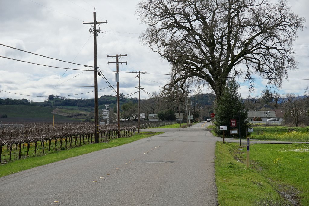DSC07367