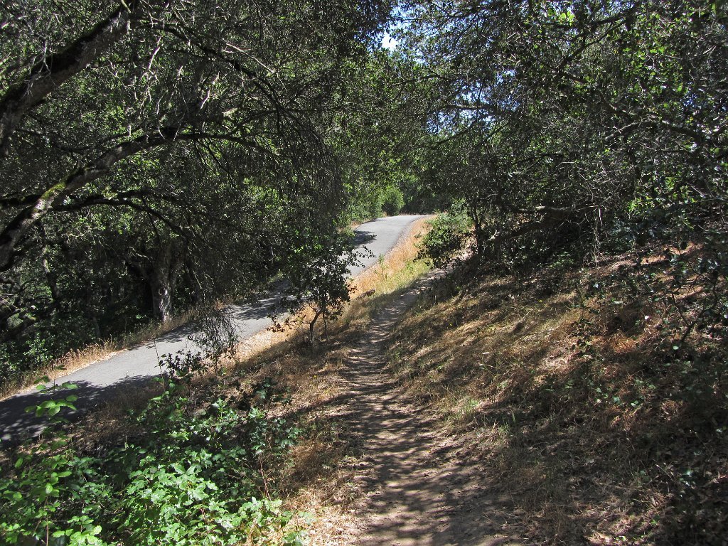 IMG_0971