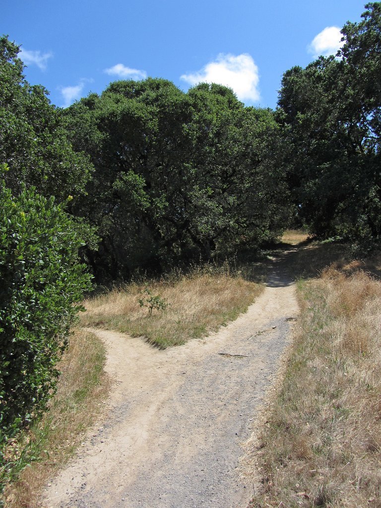 IMG_0975
