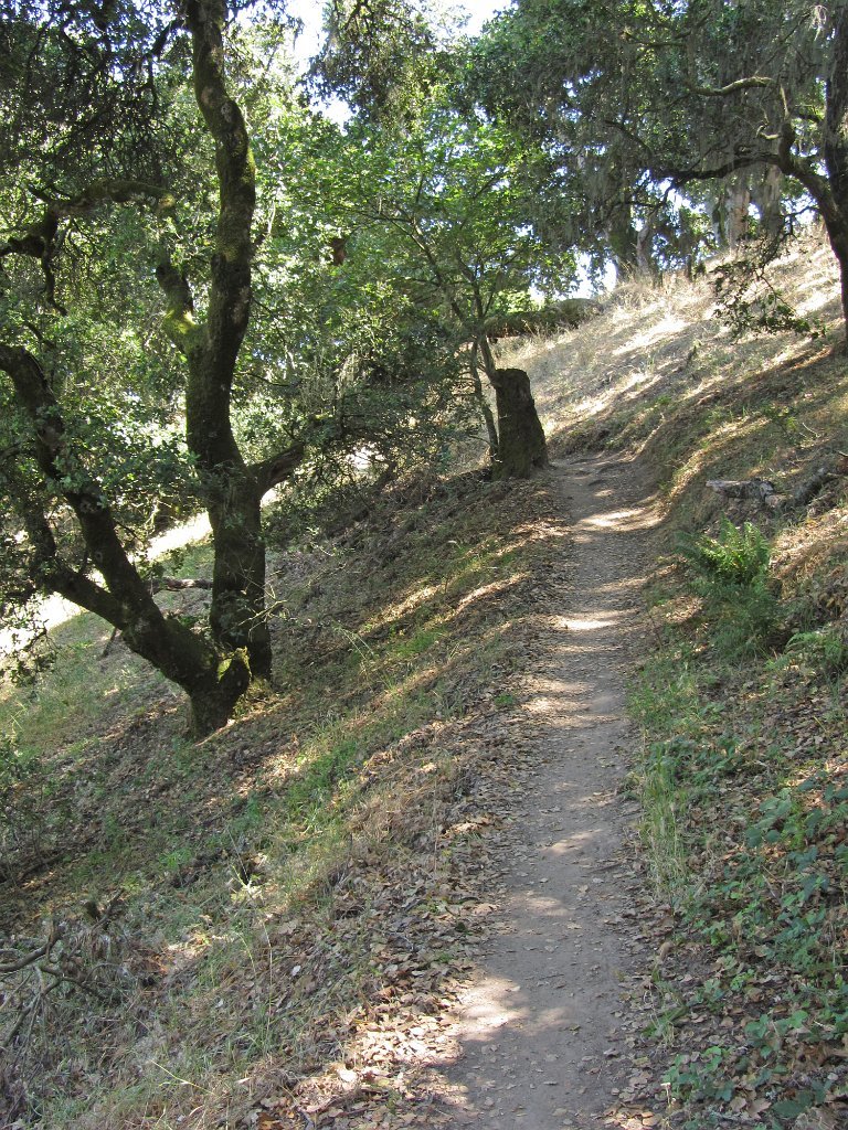 IMG_0979