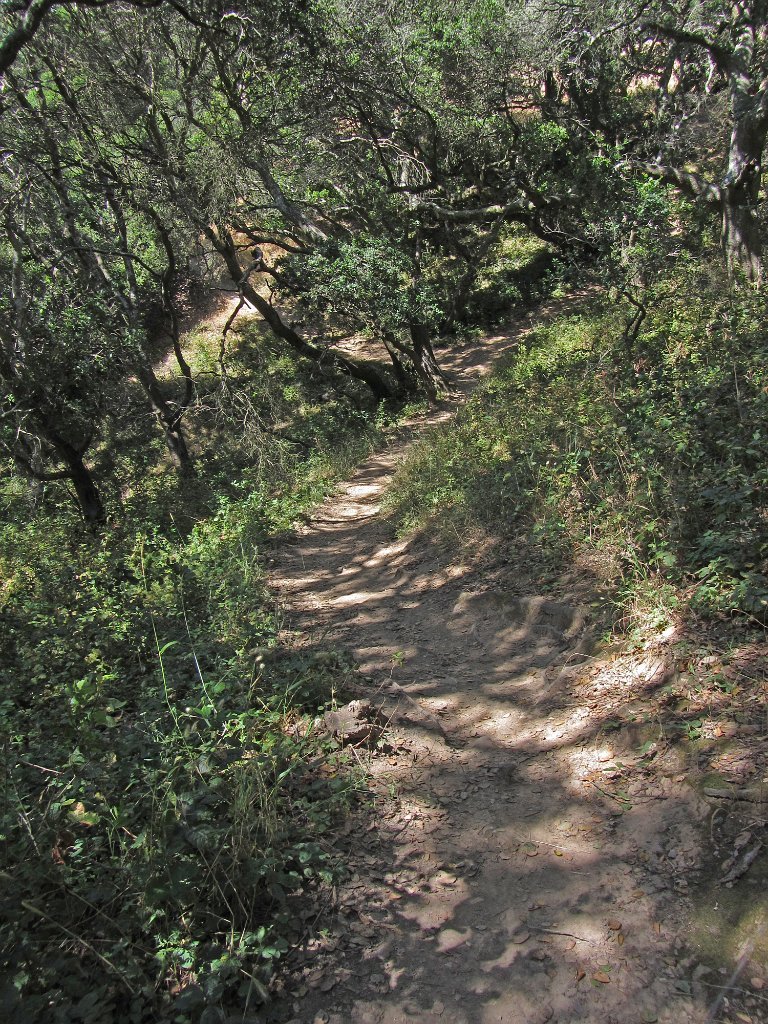 IMG_0993
