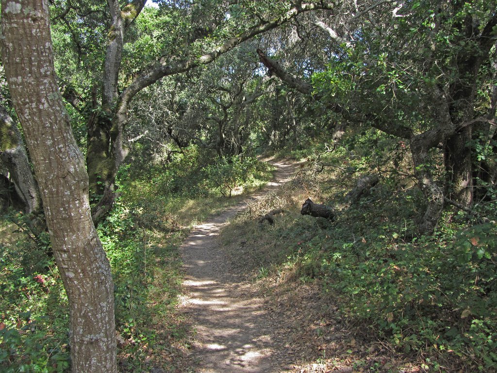 IMG_1007