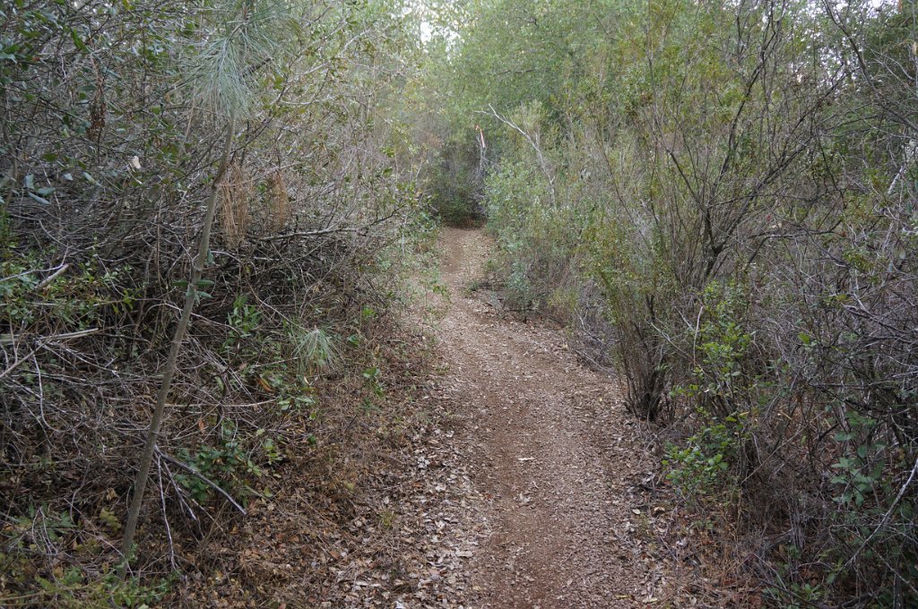 DSC07558