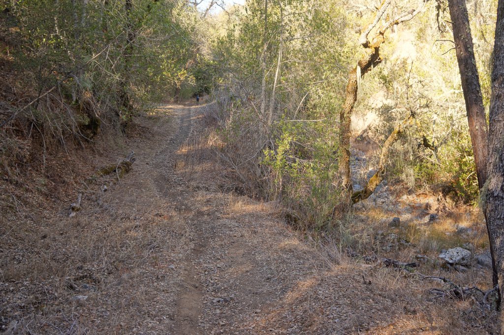 DSC07644