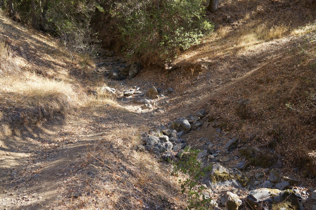 DSC07675