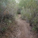 DSC07558