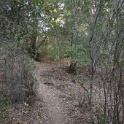 DSC07564