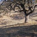 DSC07570