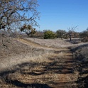 DSC07606