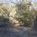 DSC07638