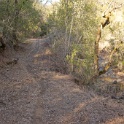 DSC07644