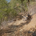 DSC07646
