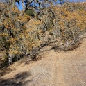 DSC07650