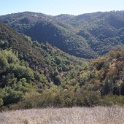 DSC07658