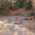 DSC07679
