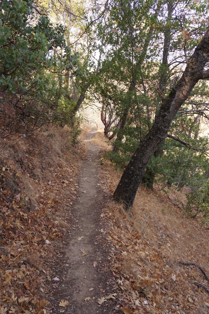 DSC07256