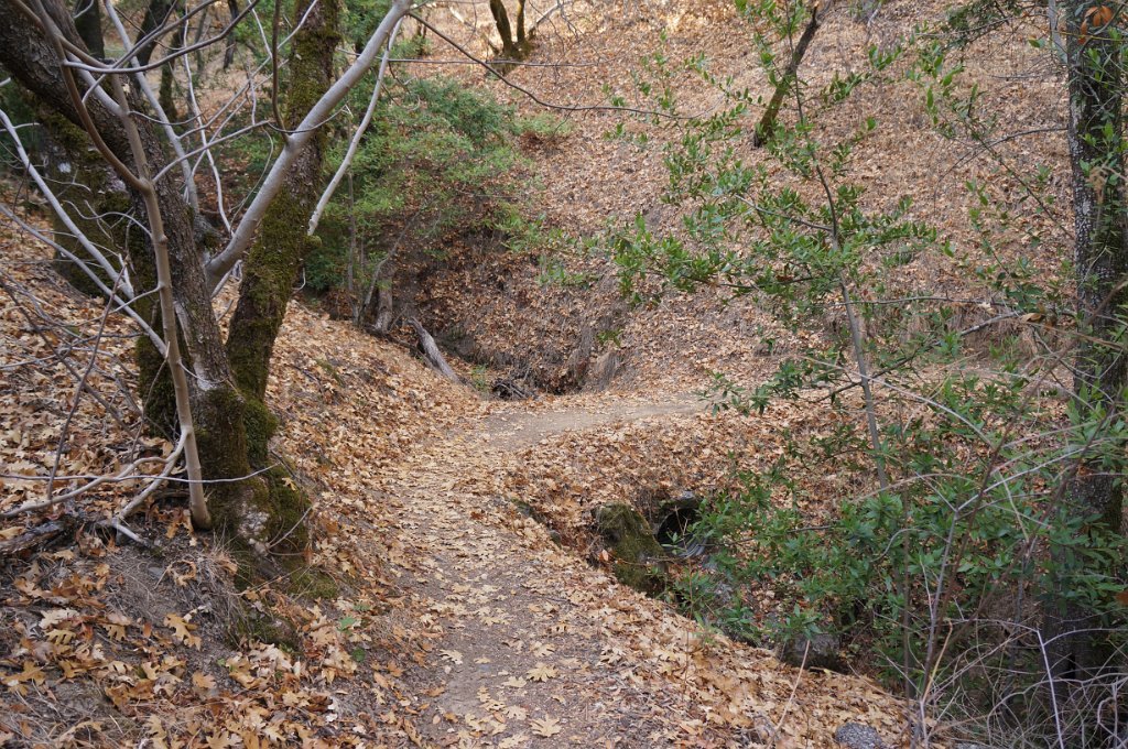 DSC07257